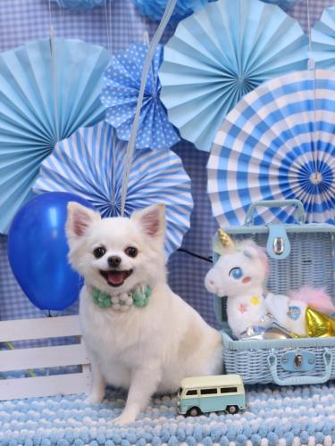 20231123くぅちゃん